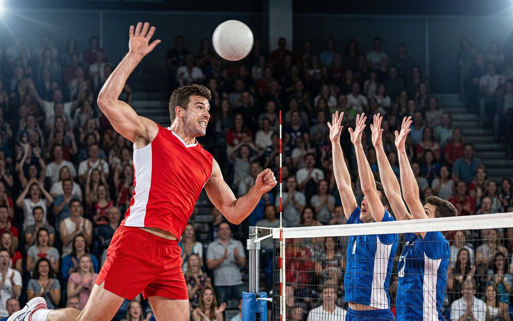 2021-2022年度VIP客户